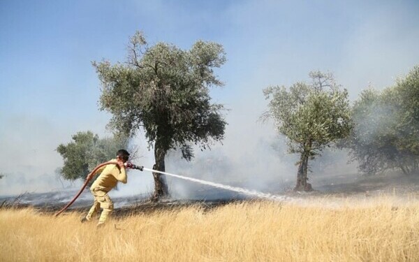 Turcia, împărțită între incendii de vegetaţie și ninsori