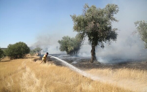 Turcia, împărțită între incendii de vegetaţie și ninsori