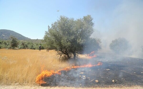 Turcia, împărțită între incendii de vegetaţie și ninsori