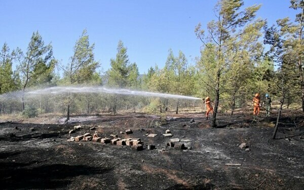 Turcia, împărțită între incendii de vegetaţie și ninsori