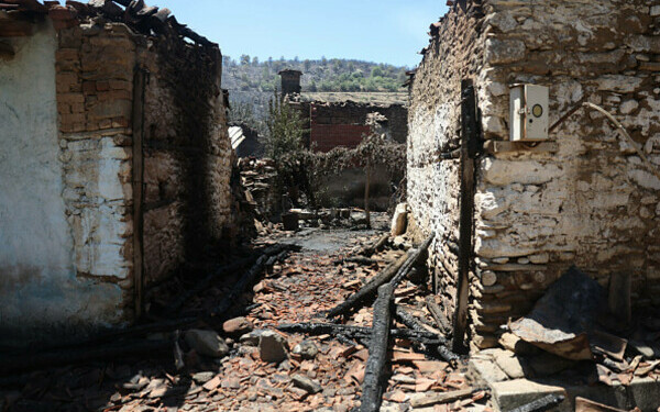 Turcia, împărțită între incendii de vegetaţie și ninsori
