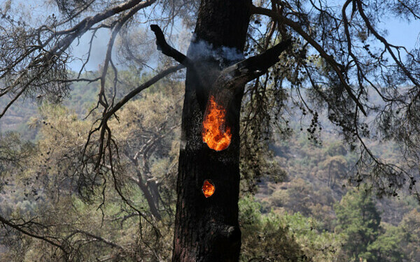 Turcia, împărțită între incendii de vegetaţie și ninsori
