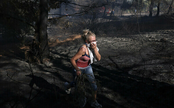 Incendiile de vegetație fac prăpăd în Grecia Incendiile de vegetație fac prăpăd în Grecia