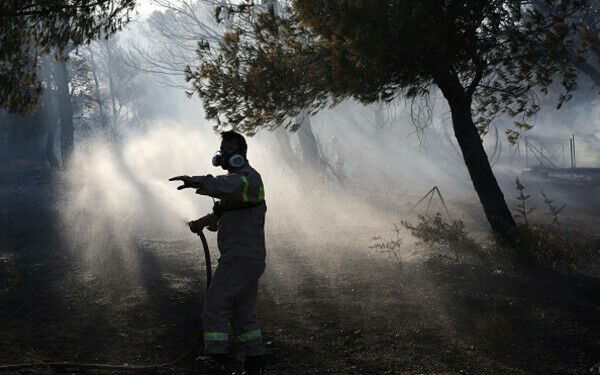 Incendiile de vegetație fac prăpăd în Grecia Incendiile de vegetație fac prăpăd în Grecia