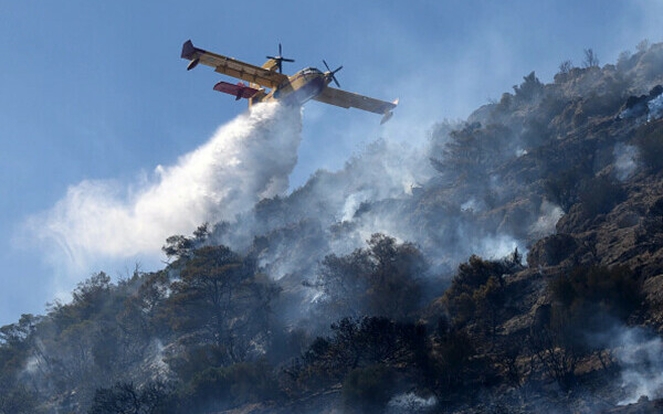 Incendiile de vegetație fac prăpăd în Grecia Incendiile de vegetație fac prăpăd în Grecia