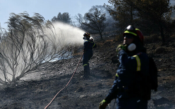 Incendiile de vegetație fac prăpăd în Grecia Incendiile de vegetație fac prăpăd în Grecia