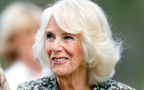 regina Camilla regina Camilla