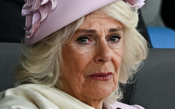 regina Camilla regina Camilla