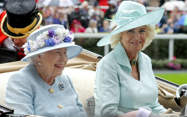 regina Camilla regina Camilla