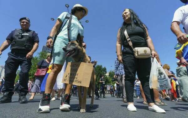 proteste proteste