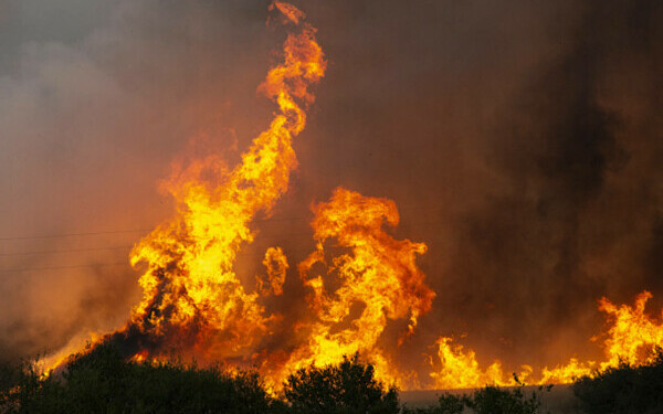 Incendiile de vegetație fac prăpăd în Bulgaria