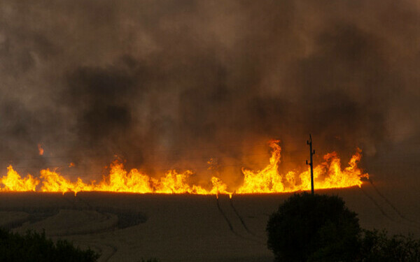 Incendiile de vegetație fac prăpăd în Bulgaria
