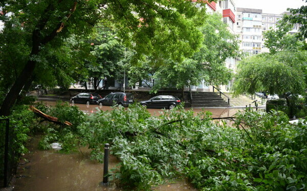 furtuna Bucureşti furtuna Bucureşti