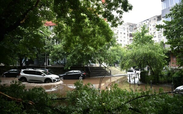 furtuna Bucureşti furtuna Bucureşti