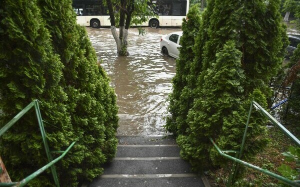 furtuna Bucureşti furtuna Bucureşti