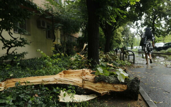 furtuna Bucureşti furtuna Bucureşti