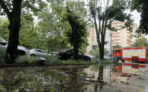 furtuna Bucureşti furtuna Bucureşti