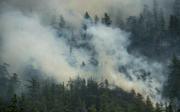 Incendiile de pădure devastează Canada Incendiile de pădure devastează Canada