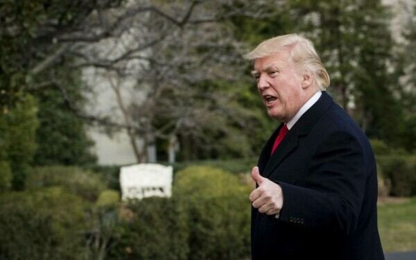 donald trump donald trump
