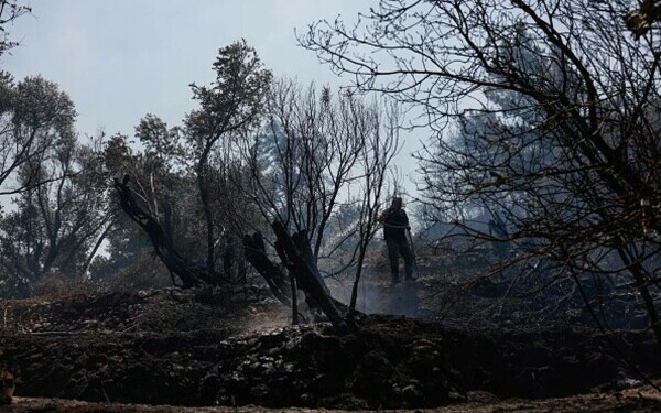 incendii vegetatie atena