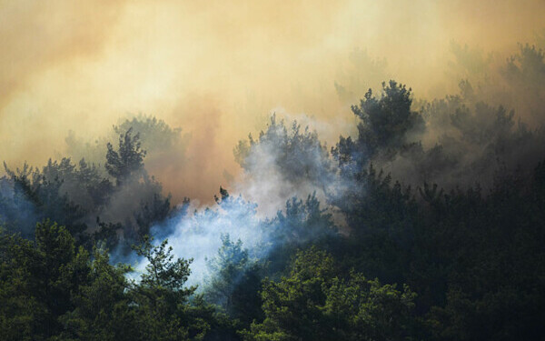 Incendii în Turcia
