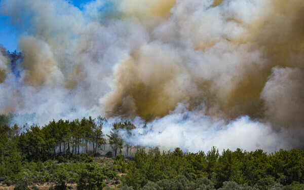 Incendii în Turcia
