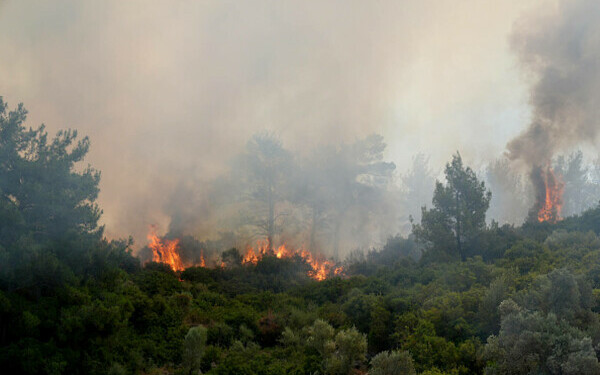 Incendii în Turcia