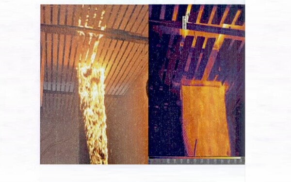 colectiv concluzii - 10