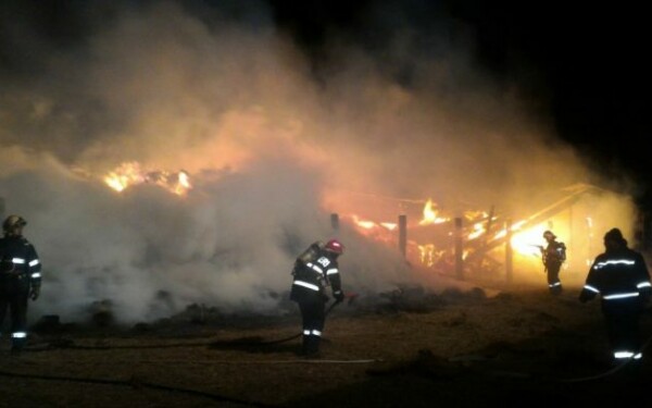 pompieri incendiu vegetatie pompieri incendiu vegetatie