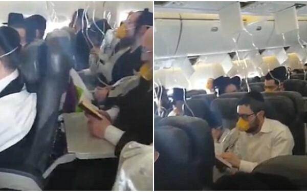 avion avion