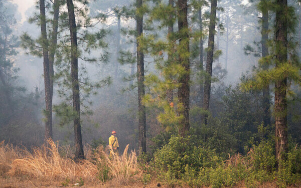Incendii violente în SUA