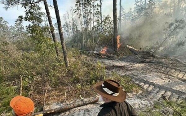 Incendii violente în SUA