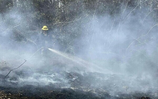 Incendii violente în SUA