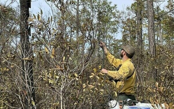 Incendii violente în SUA