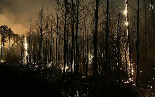 Incendii violente în SUA