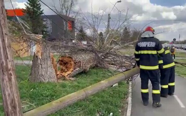 Vijeliile au făcut prăpăd în mai multe zone din țară