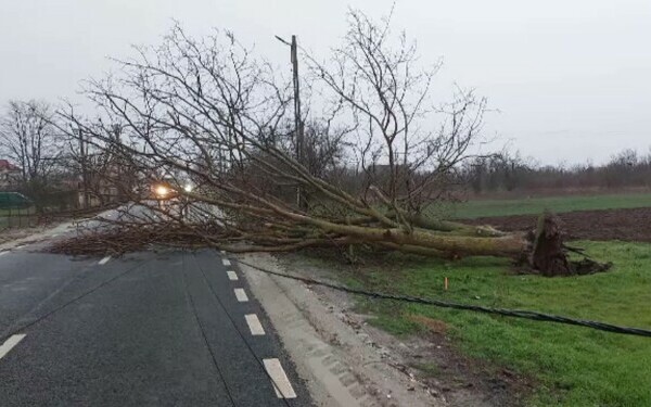 Vijeliile au făcut prăpăd în mai multe zone din țară