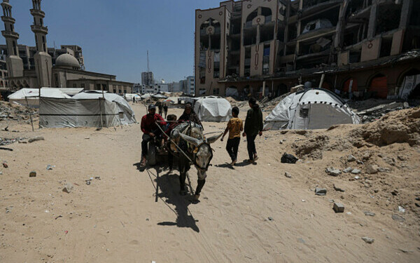 fasia gaza fasia gaza