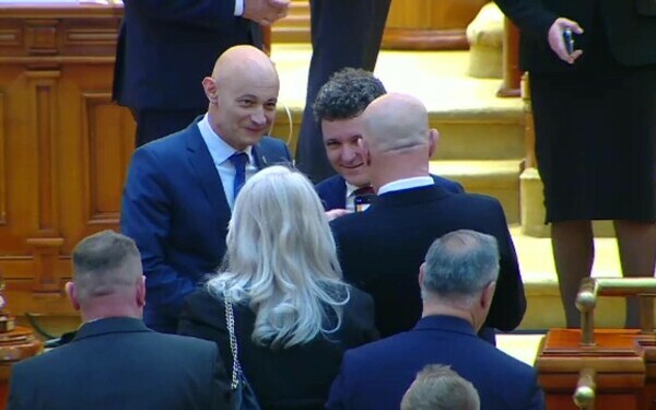 Nicusor Dan, Parlament