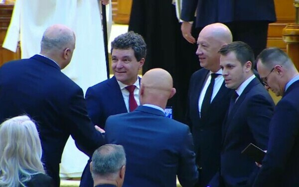 Nicusor Dan, Parlament