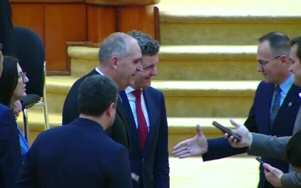 Nicusor Dan, Parlament