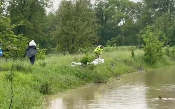 inundatii inundatii
