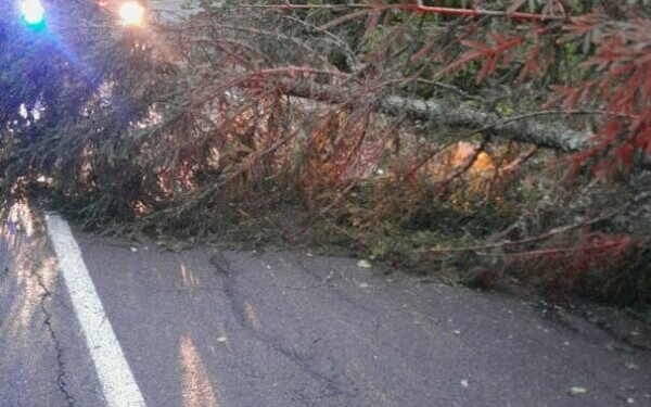 IGSU: Trei drumuri naţionale sunt blocate temporar din cauza ploilor IGSU: Trei drumuri naţionale sunt blocate temporar din cauza ploilor