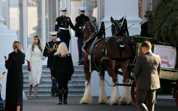 Melania Trump, apariție remarcabilă la brațul lui Donald Trump