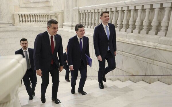 Nicuşor Dan, Parlament