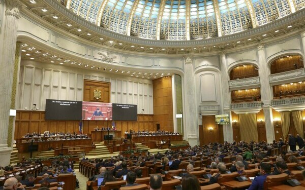 Nicuşor Dan, Parlament