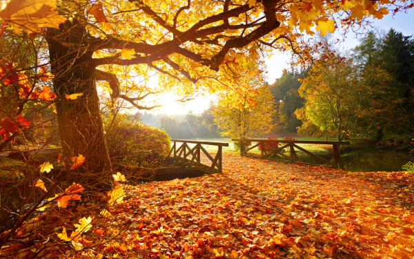 Vremea azi, 29 octombrie. Atmosferă plăcută, dar mai cald decât ar fi normal. Ce temperaturi vor fi