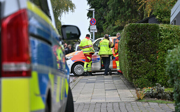 Primăriţa înjunghiată Germania