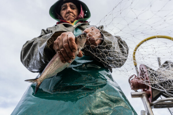 Capturi-record pentru pescari în Marea Neagră. Fenomenul care a cauzat înmulțirea peștilor