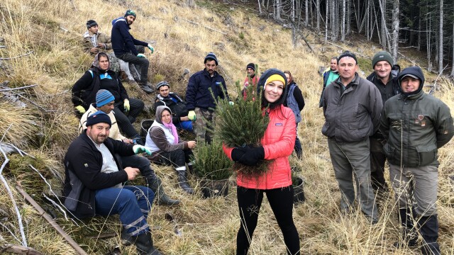 O româncă emigrată în Marea Britanie a plantat 15.000 de copaci în Munții Făgăraș - Imaginea 1